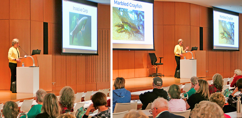 Edith Chase Symposium