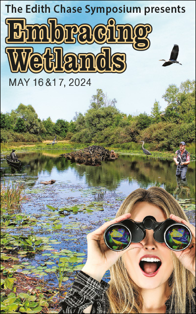 Embracing Wetlands